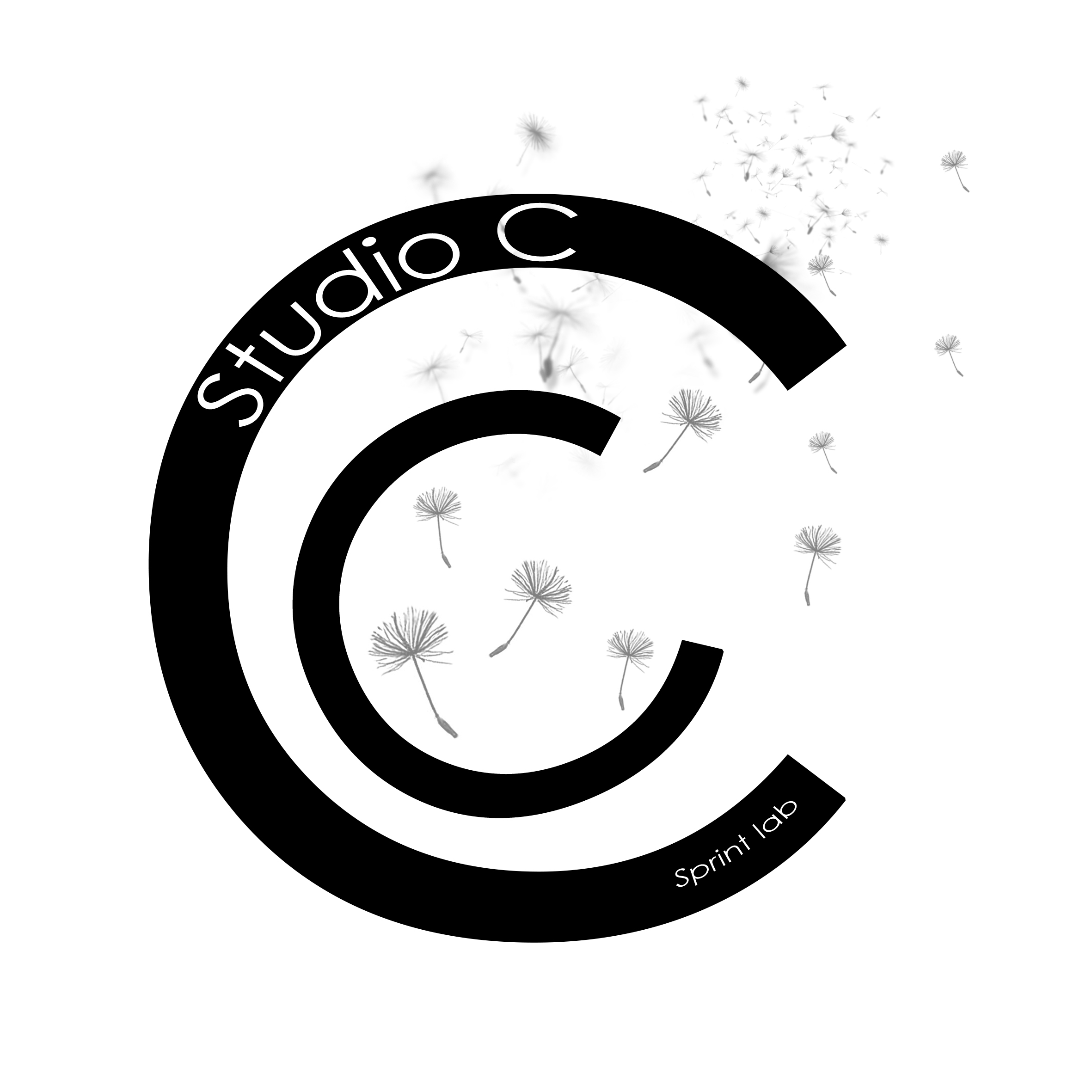 studio c noir 